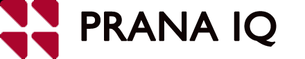 pranaiq.online