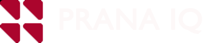 pranaiq.online